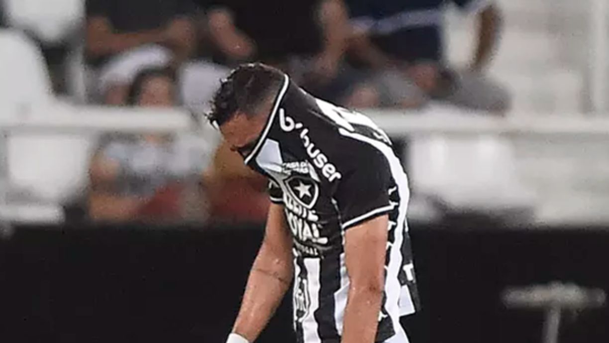 Botafogo / Divulgação